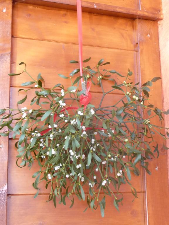شقة Haus Rosenrot بيسخوفسويسن المظهر الخارجي الصورة